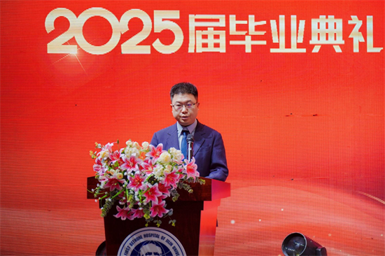 图片 10.png