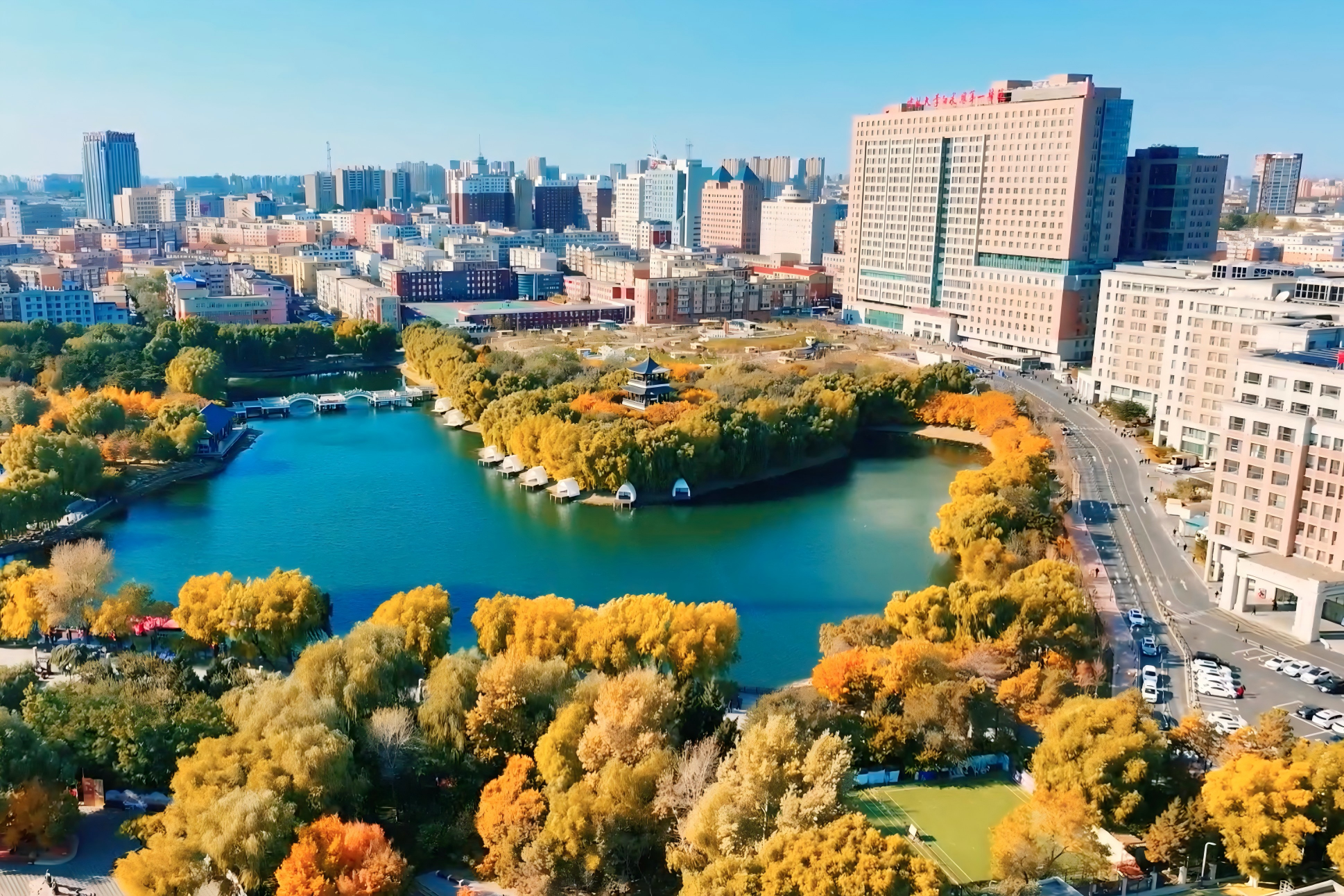 新民大街1号｜秋意浓彩 暖医常伴